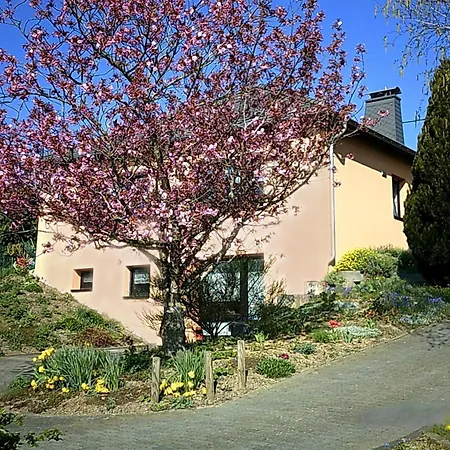In Olsdorf