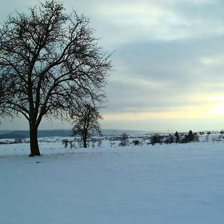 Ehemaligen Schaeferhof * Bettingen