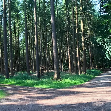 Ehemaligen Schaeferhof * Bettingen
