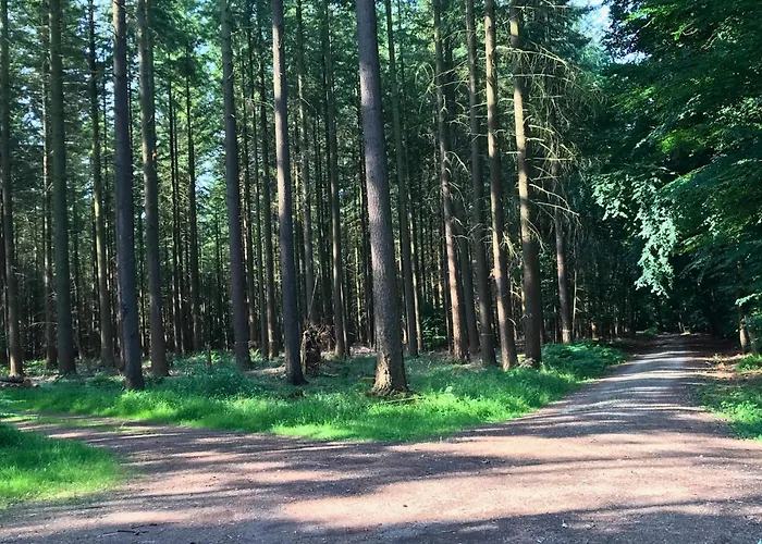 Ehemaligen Schaeferhof * Bettingen