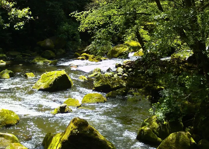Ehemaligen Schaeferhof Lägenhet Bettingen